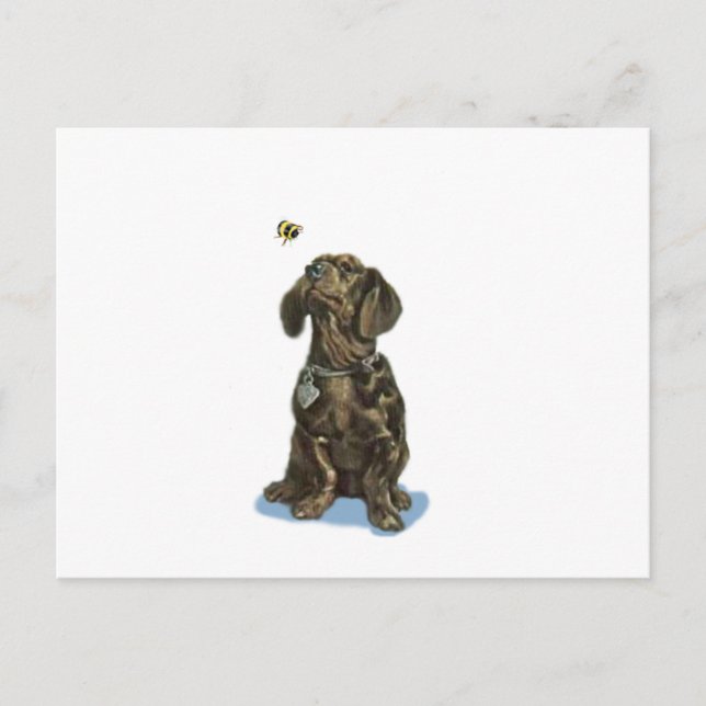 Customise Dachshund and bee vintage art gifts Postcard (Front)