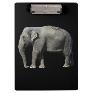Customise Elephant Clipboard