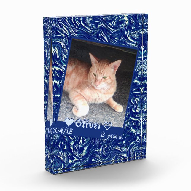 Customise frame photo cat pet on dark blue texture block (Left)