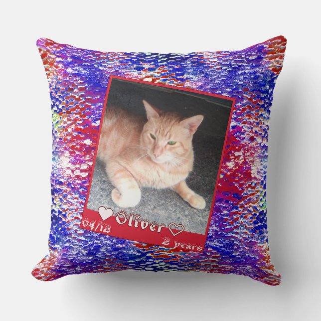 Customise framed photo cat pet on blue red texture cushion (Front)
