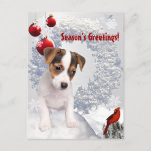 Customise It!  Jack Russell Terrier Christmas Wish Holiday Postcard
