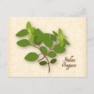 Customise Italian Oregano Postcard
