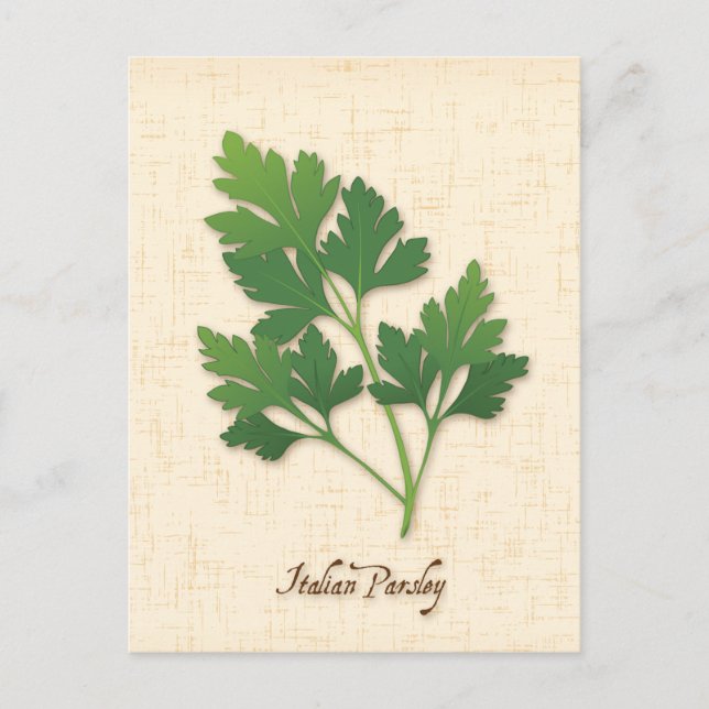 Customise Italian Parsley Postcard (Front)