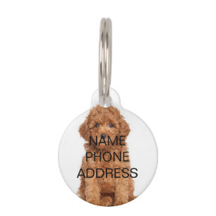 Customise, personalise Dog Name, Phone and Photo - Pet Tag