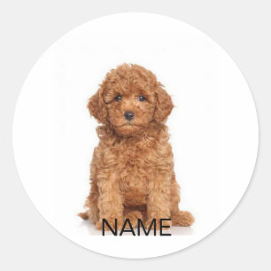 Customise personalise with photo & name classic round sticker