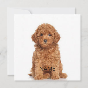 Customise personalise with photo & name note card