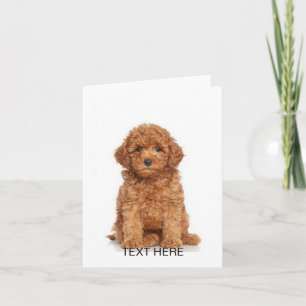 Customise personalise with photo & name note card