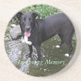 customise personalised photo sandstone coaster