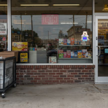 Customise Polar Bear Bagged Ice Promotional 