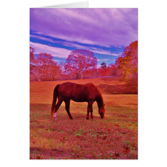 Customise Product (Front)