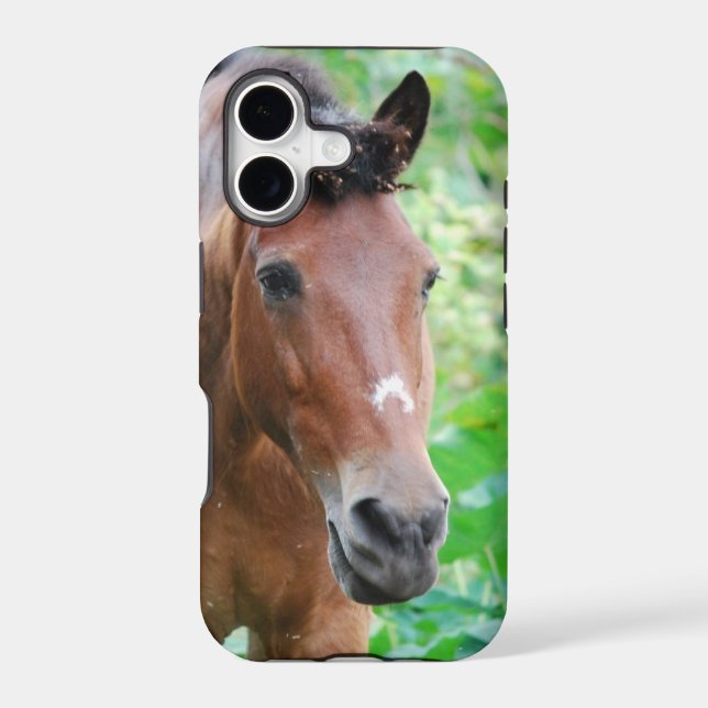 Customise Product (Back)