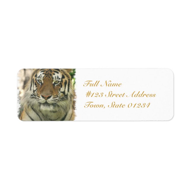 Customise Product (Front)