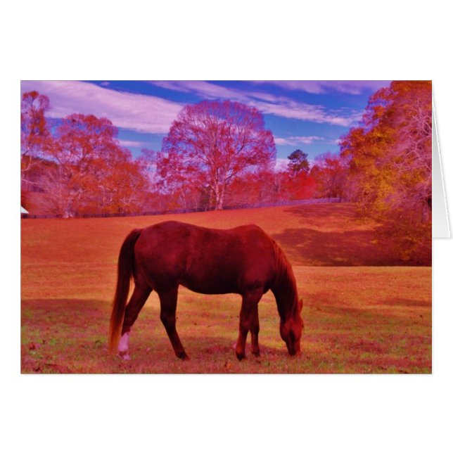 Customise Product (Front Horizontal)