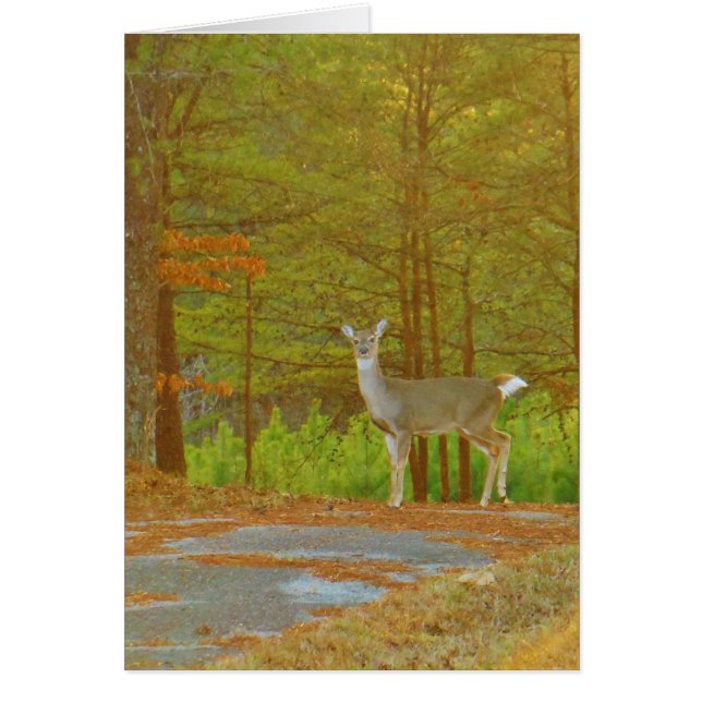 Customise Product (Front)