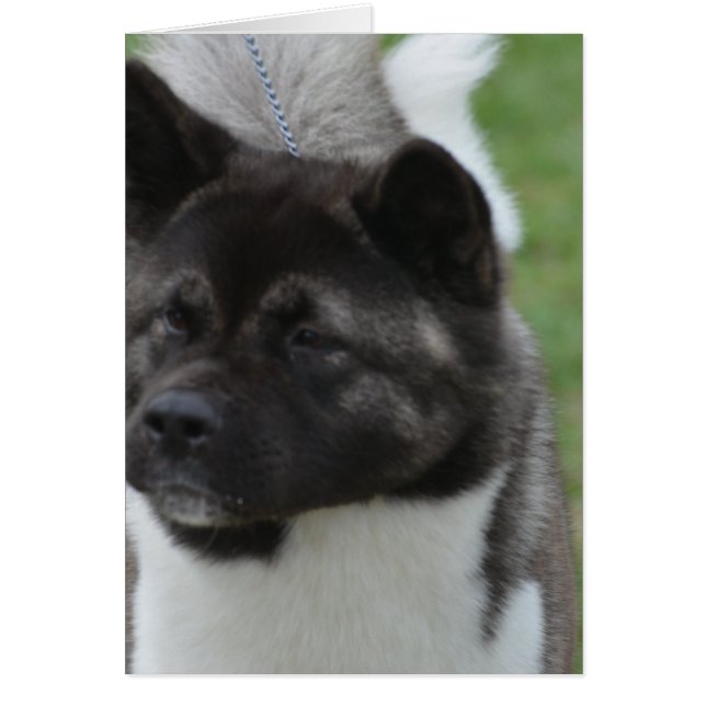 Customise Product (Front)