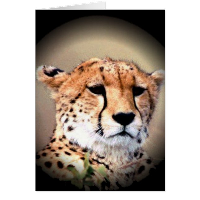 Customise Product (Front)