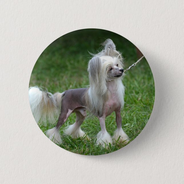 Customise Product 6 Cm Round Badge (Front)