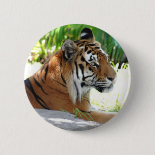 Customise Product 6 Cm Round Badge