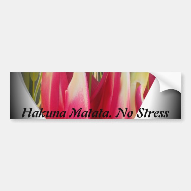 Customise Product Bumper Sticker (Front)