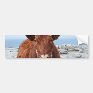 Customise Product Bumper Sticker