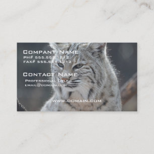 Customise Product Business Card