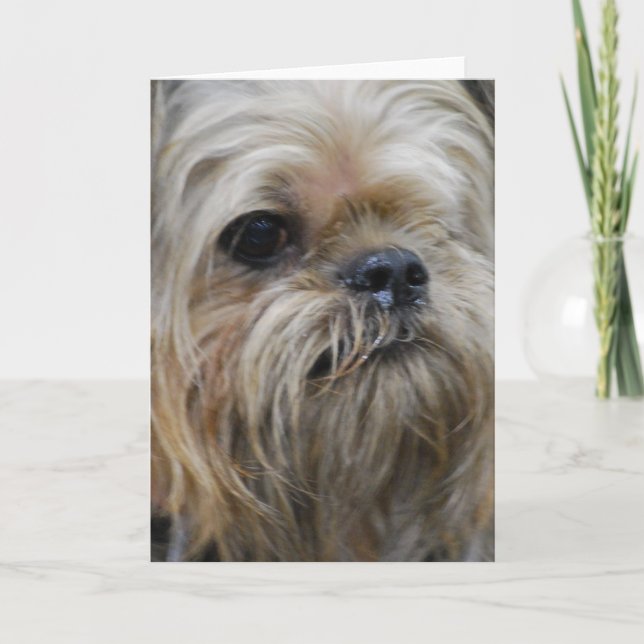 Customise Product Card (Front)