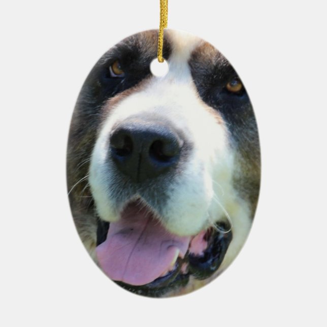 Customise Product Ceramic Tree Decoration (Front)