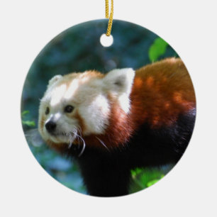 Customise Product Ceramic Tree Decoration