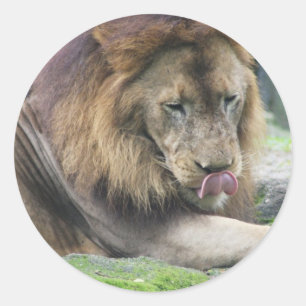 Customise Product Classic Round Sticker