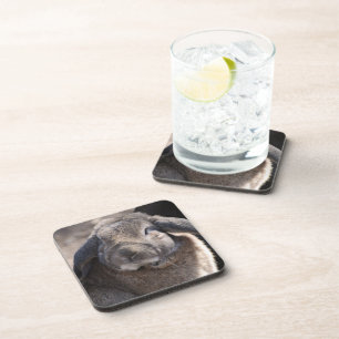 Customise Product Coaster