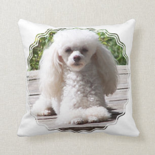 Customise Product Cushion