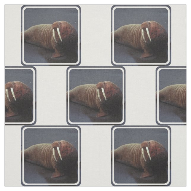 Customise Product Fabric (Swatch)