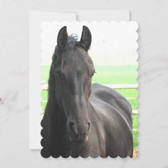 Customise Product Invitation (Front)