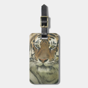 Customise Product Luggage Tag