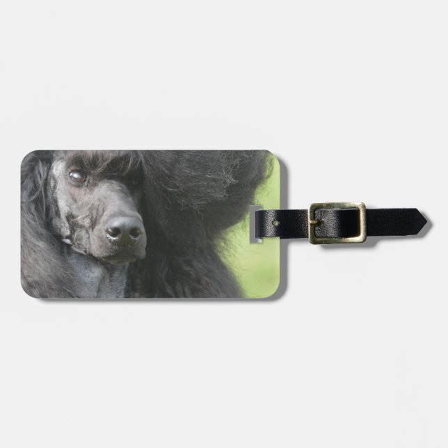 Customise Product Luggage Tag (Front Horizontal)
