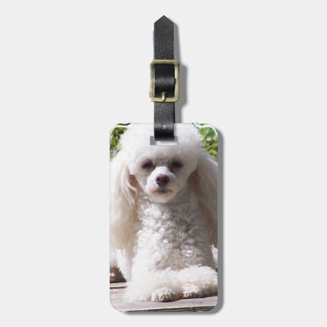 Customise Product Luggage Tag (Front Vertical)