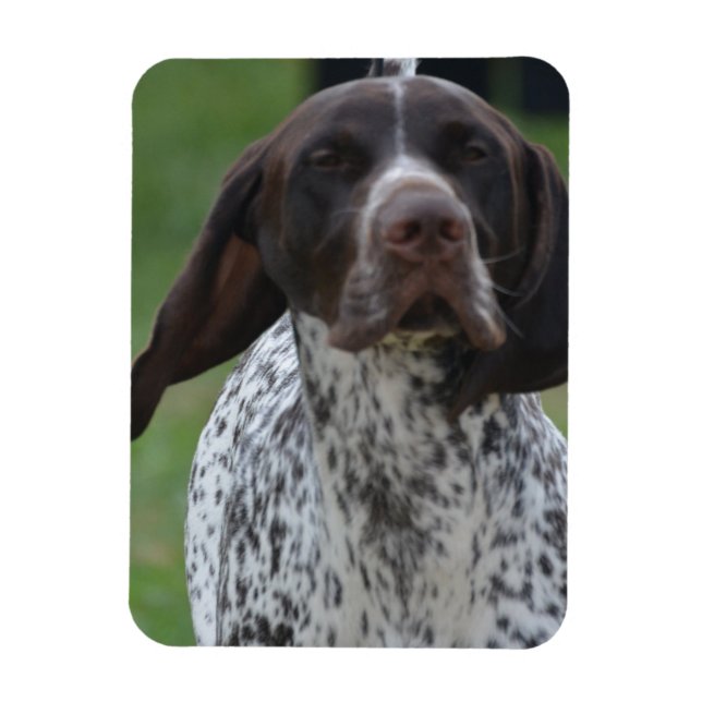 Customise Product Magnet (Vertical)