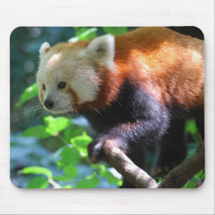 Customise Product Mouse Mat