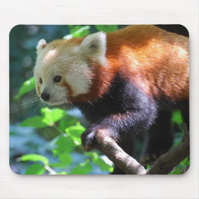 Customise Product Mouse Mat (Front)