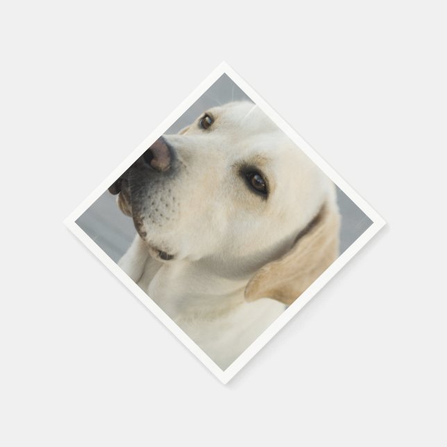 Customise Product Napkin (Corner)