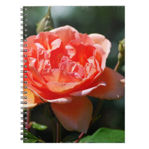 Customise Product Notebook