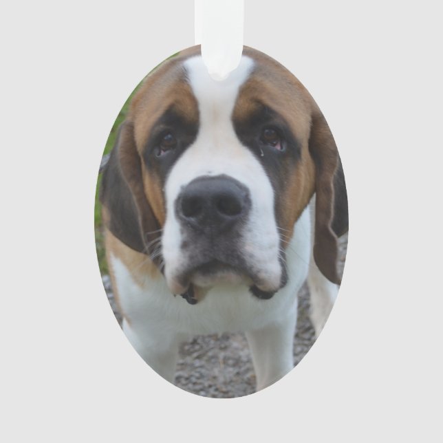 Customise Product Ornament (Front)