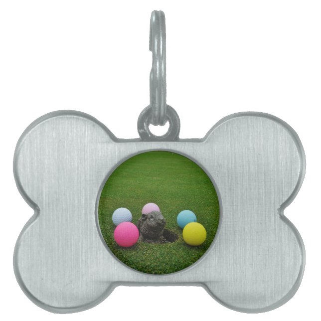 Customise Product Pet Name Tag (Front)