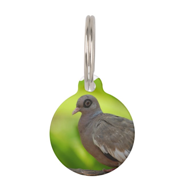 Customise Product Pet Tag (Front)