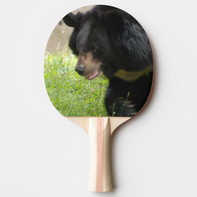 Customise Product Ping Pong Paddle (Front)