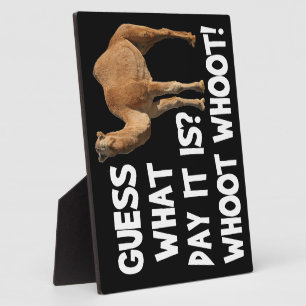 Customise Product Plaque