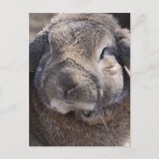 Customise Product Postcard (Front)