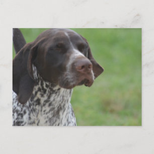 Customise Product Postcard