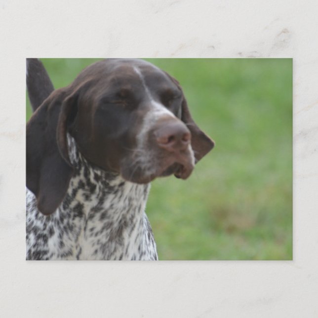 Customise Product Postcard (Front)