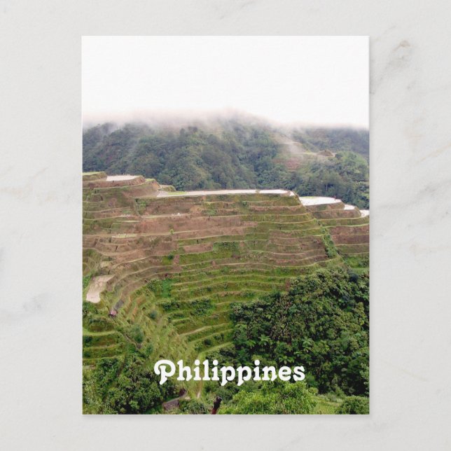 Customise Product Postcard (Front)